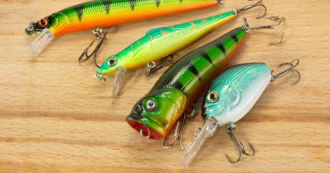 The Best Artificial Bait For Bass Of 2024: Top-rated And Buying Guide