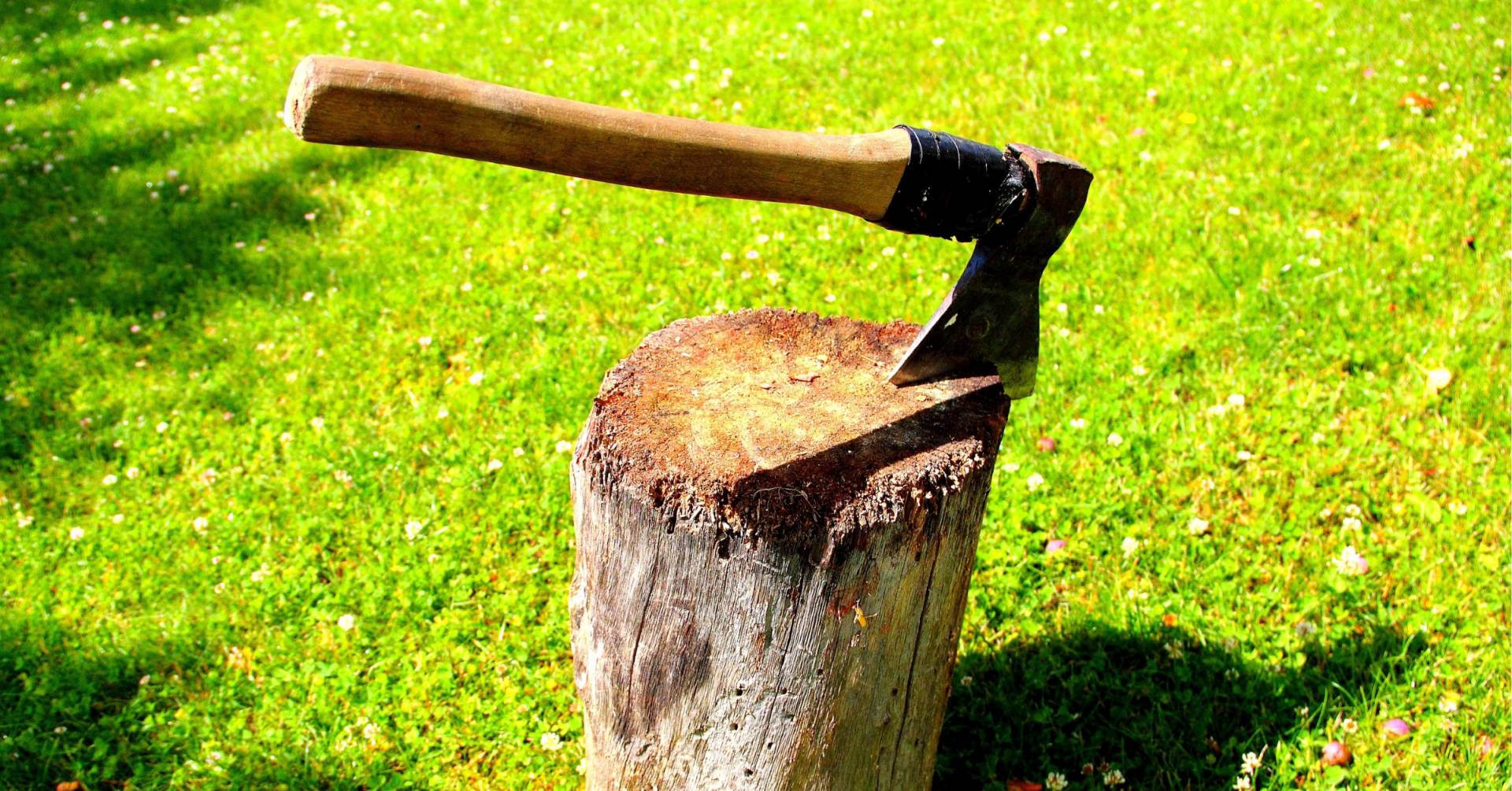 The Best Axe For Backpacking Best Picks Of 2024