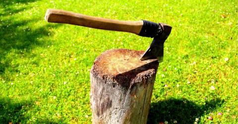 The Best Axe For Backpacking: Best Picks Of 2025