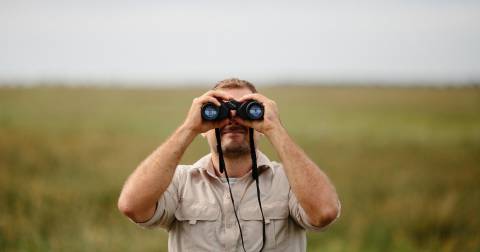 The Best Binoculars For Beginners In 2024