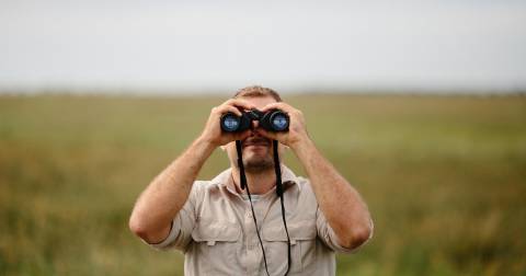 The Best Binoculars For Beginners In 2025