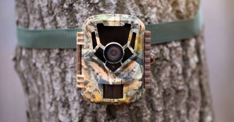 Best Black Flash Trail Camera To Pick Up: Trend Of Searching For 2023