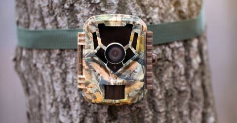 Best Black Flash Trail Camera To Pick Up: Trend Of Searching For 2025