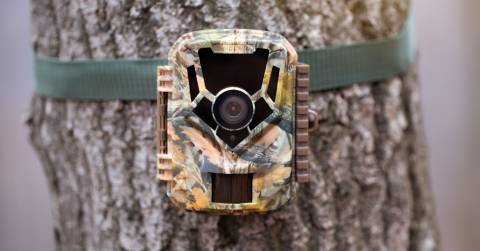 Best Black Flash Trail Camera To Pick Up: Trend Of Searching For 2024