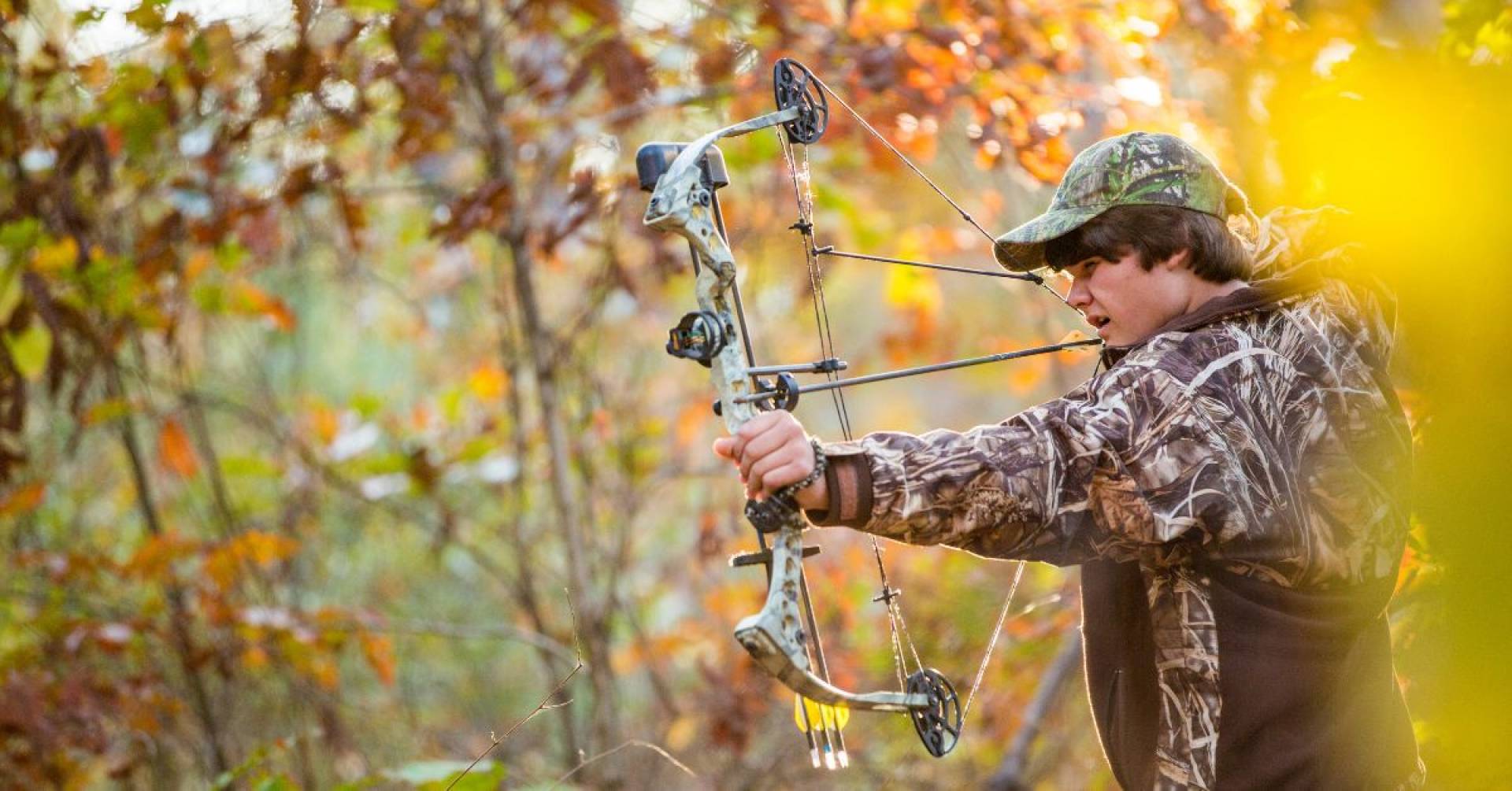 The Best Bows For Elk Hunting In 2024 TopRated & Hot Picks