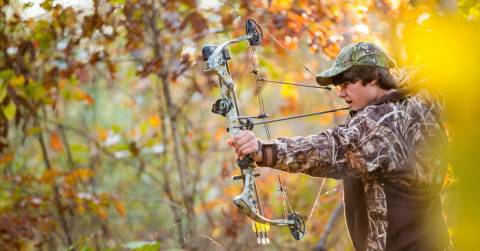 The Best Bows For Elk Hunting In 2025: Top-Rated & Hot Picks