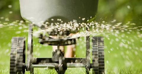 The Best Broadcast Spreader For Home Use Of 2025: Best Picks & Buying Guides