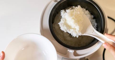 The Best Ceramic Rice Cooker For 2025