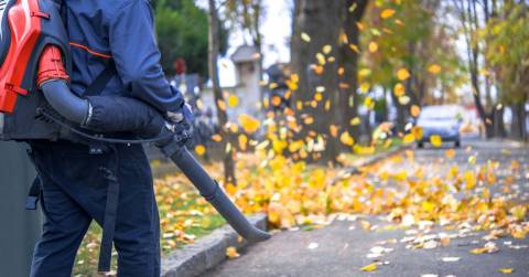 The Best Commercial Backpack Blower: Buying Guide Of 2024