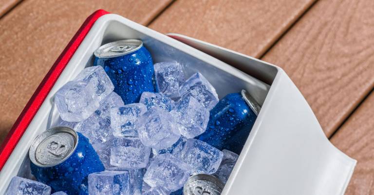 Best Cooler To Keep Food Cold