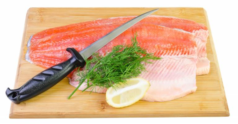 Best Cordless Fillet Knife