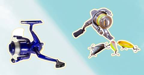 The Best Daiwa Spinning Reels For 2025