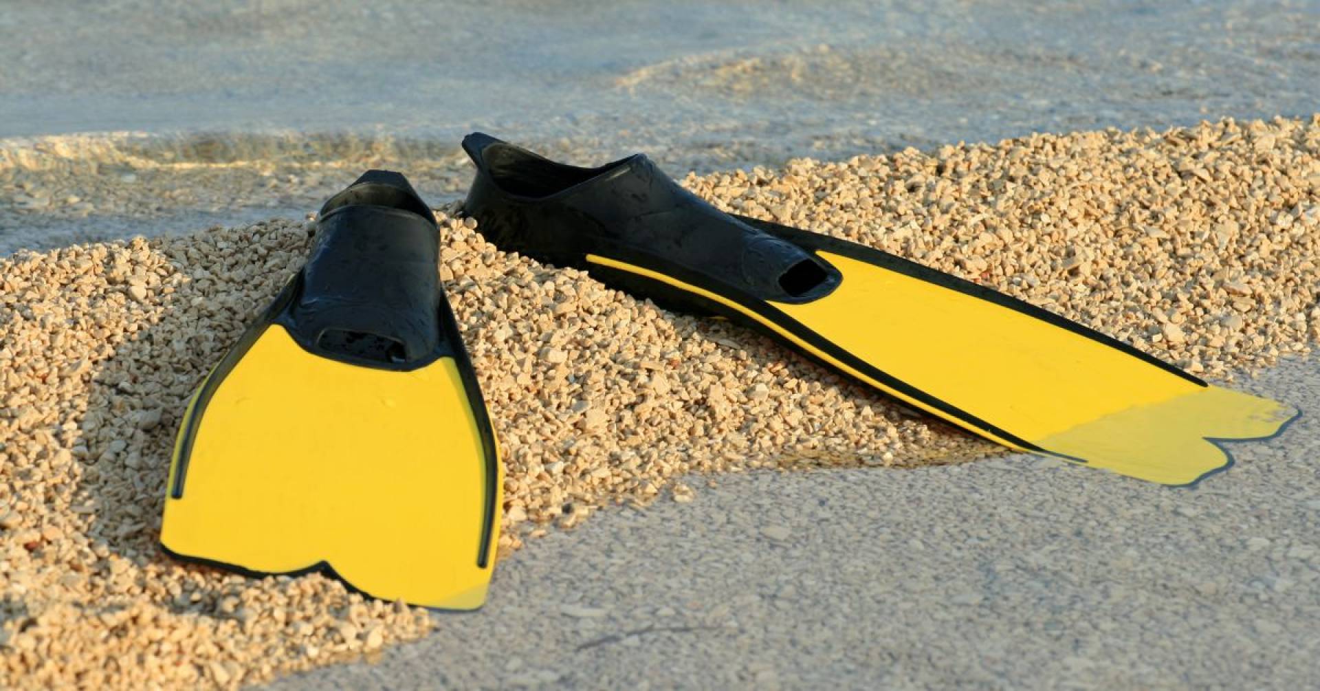 The Best Dive Fins Buying Guide Of 2023