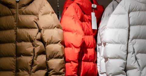 The Best Down Insulated Jacket: Suggestions & Considerations