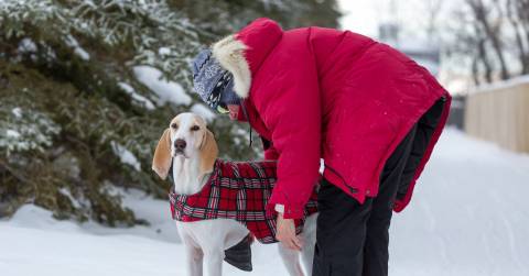 The Best Down Winter Coats: Top Picks For 2025