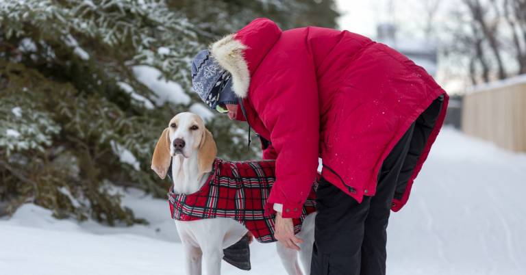 Best Down Winter Coats