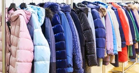 Top Best Down Winter Jackets: In-depth Buying Guides Included