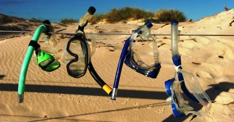 The Best Dry Snorkels: Rankings In 2024 & Purchasing Tips