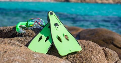The Best Fins For Snorkeling In 2024: Top-Rated & Hot Picks