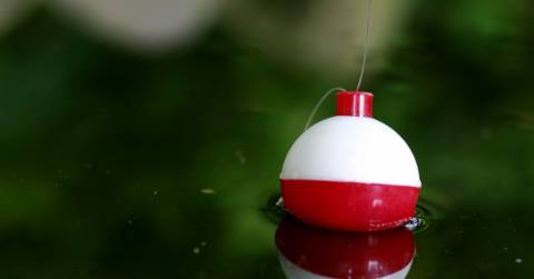 The Best Fish Finder Bobber For 2025