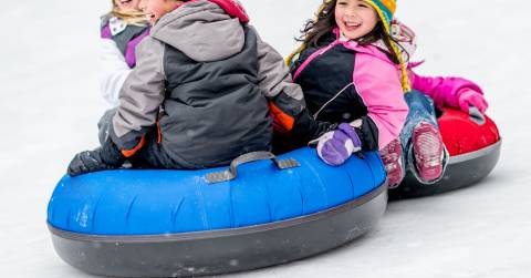 The Best Foam Sleds: Reviews In 2024 By Experts