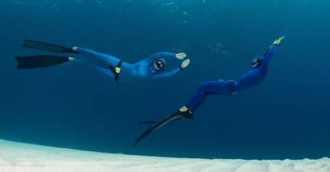 The Best Freedive Snorkel For 2024