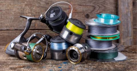 The Best Freshwater Fishing Line Of May: Best Picks Of 2024