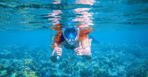 The Best Full Face Scuba Mask Reviews & Buyers Guide In 2025