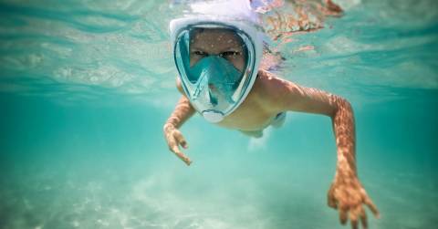 The Best Full Face Snorkel Mask: Guides & Ranking 2024