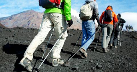 The Best Hiking Trekking Pole Of 2023: Buying Guide & Reviews