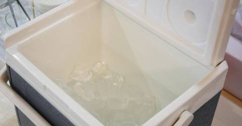 The Best Ice Makers For Camping: Top Picks 2025