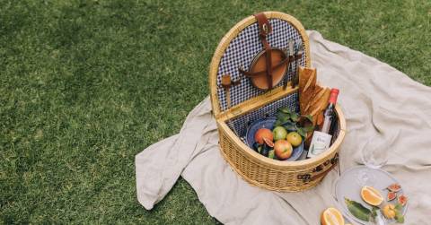 The Best Insulated Picnic Basket In 2024: Best Picks & Guidance
