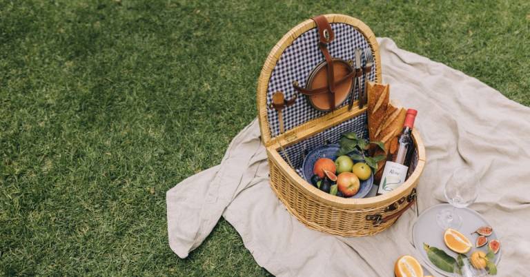 Best insulated picnic basket