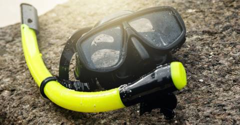 The Best Mask For Snorkeling For You In 2024 & Buying Tips