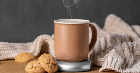 The Complete Guide For Best Mug For Coffee Warmer Of 2025