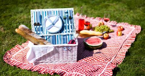 The Best Picnic Basket For 4 In 2024: Best Picks & Guidance