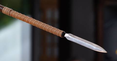 The Best Pole Spears For 2025