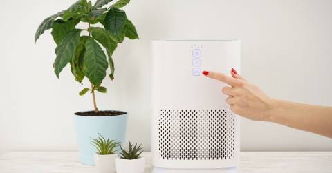 The Best Portable Air Purifiers We've Tested: Top Reviews By Experts