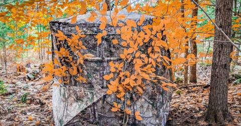 The Best Portable Ground Blind To Buy You Should Know In 2024