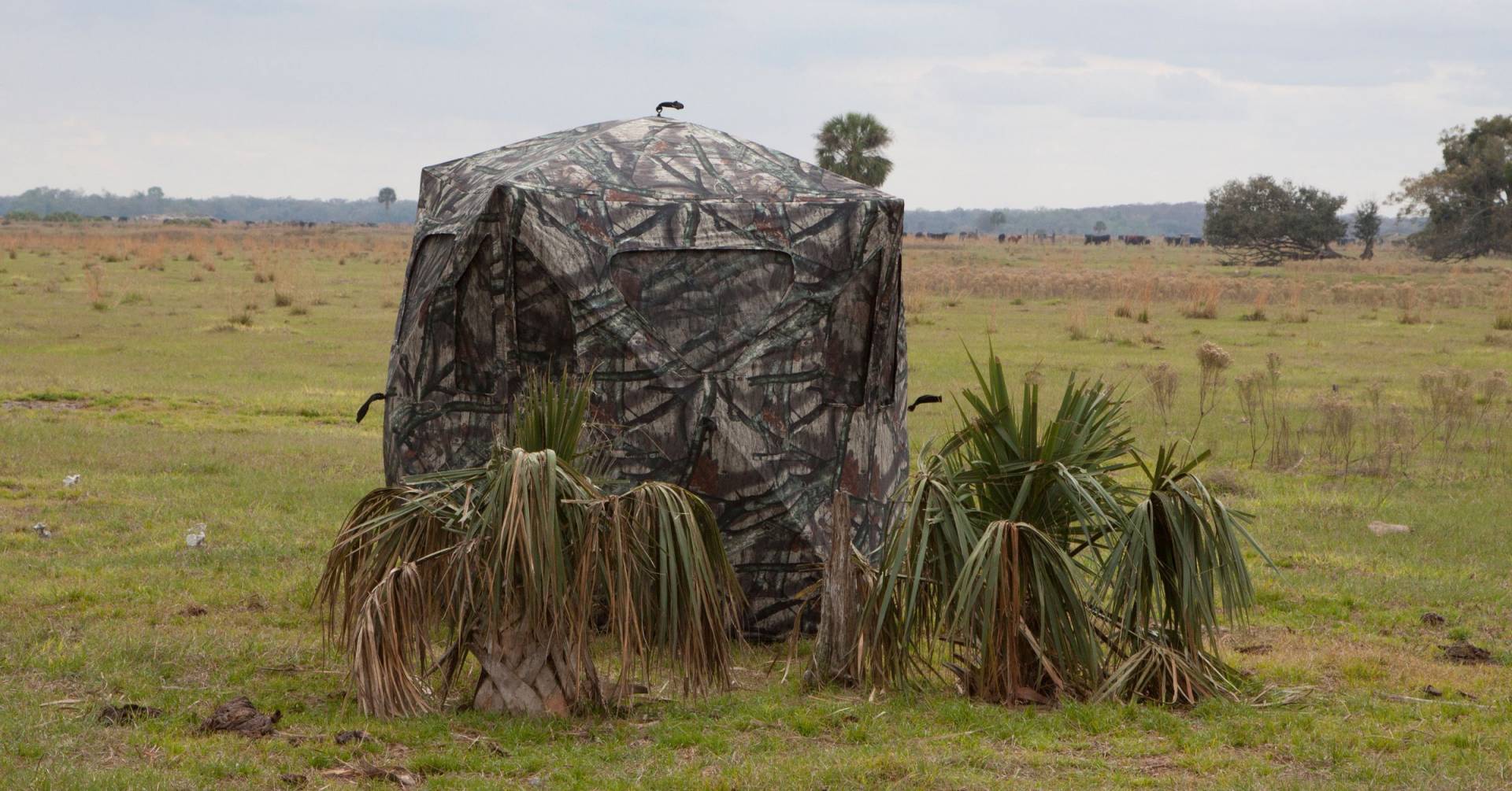 The Best Portable Hunting Blinds Best Choices For Shopping In 2024
