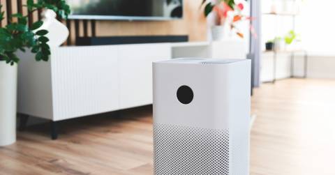 The Best Purifiers For Smoke In 2025: Top-Rated & Hot Picks