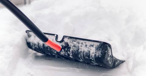The Best Push Snow Shovel Of 2025: Top-rated And Buying Guide