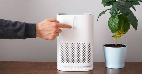 The Best Quiet Air Purifier: Top Picks & Guidance In 2024