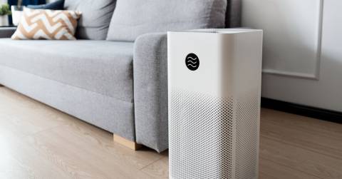 The Best Rated Air Filters For Home In 2024
