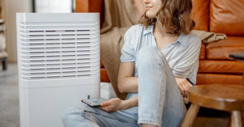 The Best Rated Air Purifier For Allergies: Reviews In 2025 By Experts