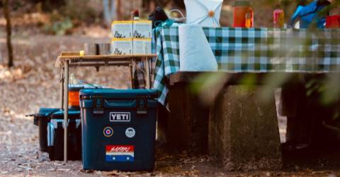 Top Best Rated Camping Coolers: Best Picks 2025