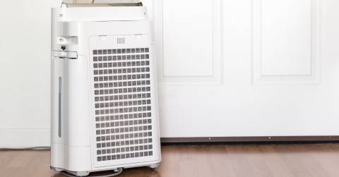 The Best Rated Room Air Purifiers Of 2024: Top Models & Buying Guide