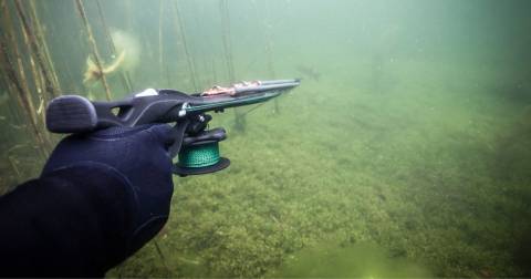 The Best Roller Spearguns For 2025
