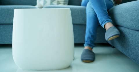 The Best Room Air Purifier For Mold In 2025