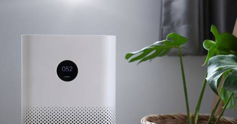 The Best Room Air Purifier For Smoke In 2024: Top-Rated & Hot Picks